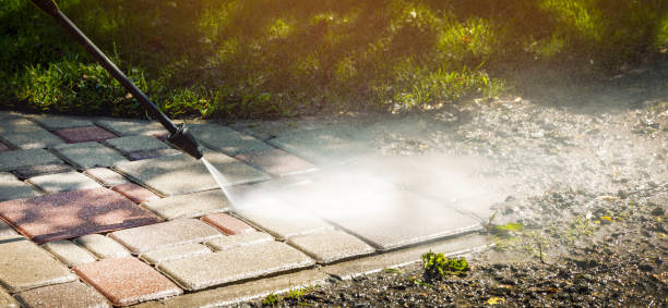 Animal Enclosure Cleaning in Gluckstadt, MS